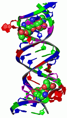 Image Asym./Biol. Unit - manually