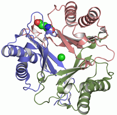 Image Asym./Biol. Unit - manually