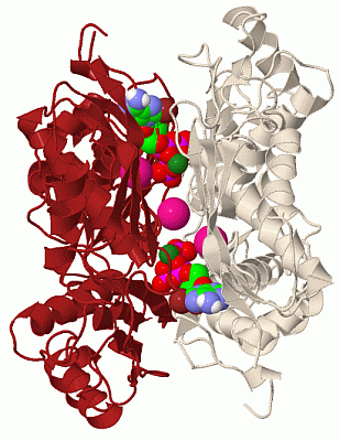 Image Biol.Unit 1 - manually