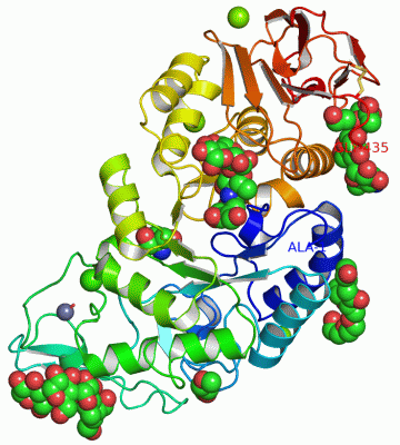 Image Asym./Biol. Unit - manually