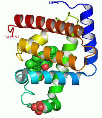 Image Asym./Biol. Unit - manually