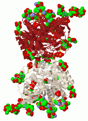 Image Biol.Unit 1 - manually