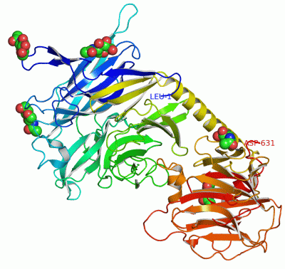 Image Asym./Biol. Unit - manually