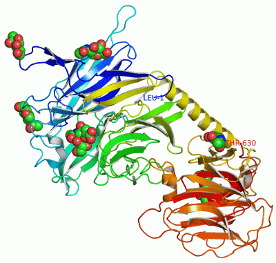 Image Asym./Biol. Unit - manually