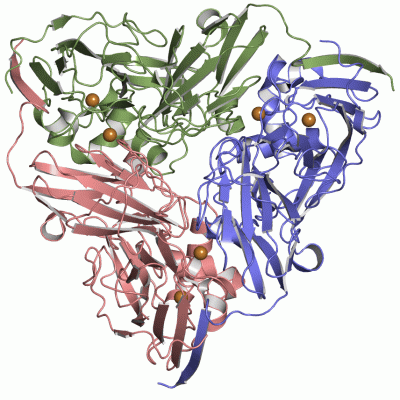 Image Asym./Biol. Unit - manually