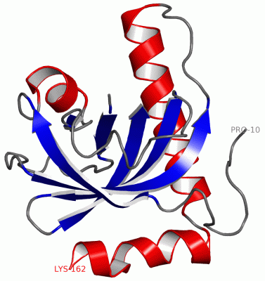 Image Asym./Biol. Unit - manually