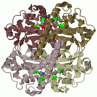 Image Biol.Unit 1 - manually