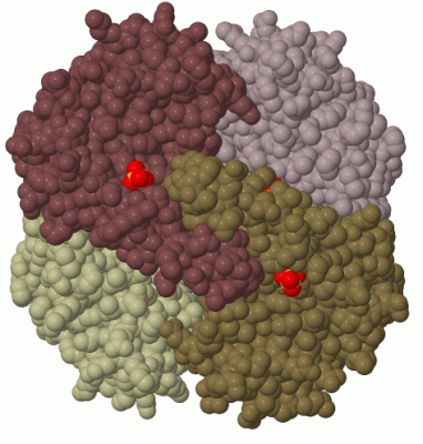 Image Biol.Unit 1 - manually