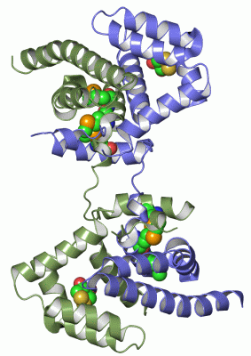 Image Asym./Biol. Unit - manually