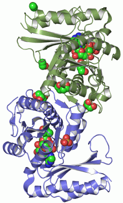 Image Asym./Biol. Unit - manually