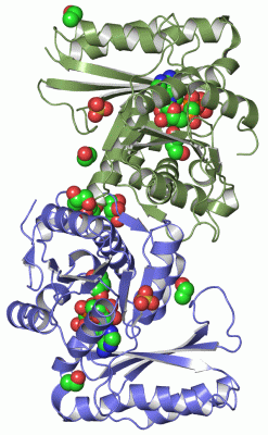 Image Asym./Biol. Unit - manually