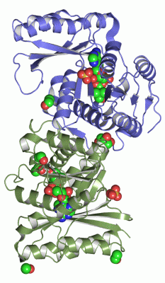 Image Asym./Biol. Unit - manually