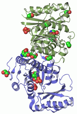 Image Asym./Biol. Unit - manually