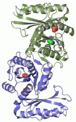 Image Asym./Biol. Unit - manually