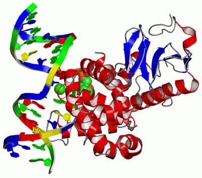 Image Asym./Biol. Unit - manually