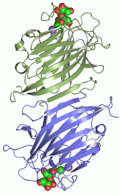 Image Asym./Biol. Unit - manually