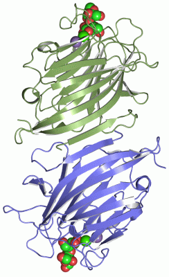 Image Asym./Biol. Unit - manually