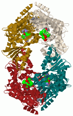 Image Biol.Unit 1 - manually