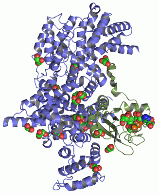 Image Asym./Biol. Unit - manually