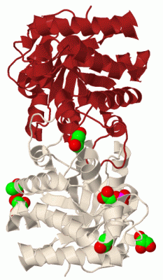 Image Biol.Unit 1 - manually