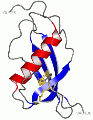 Image NMR Structure - manually