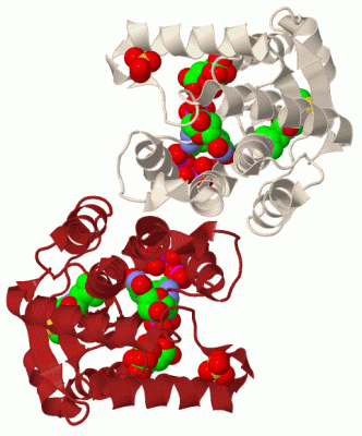 Image Biol.Unit 1 - manually