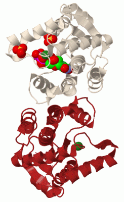 Image Biol.Unit 1 - manually