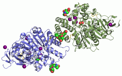 Image Asym./Biol. Unit - manually