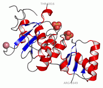 Image Asym./Biol. Unit - manually