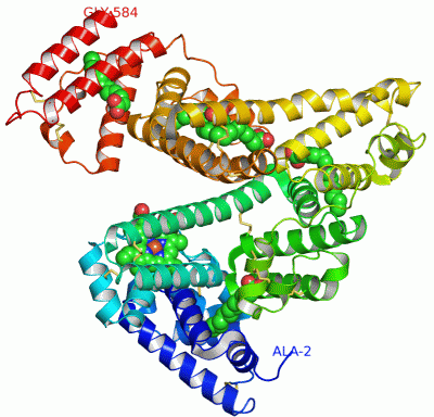 Image Asym./Biol. Unit - manually