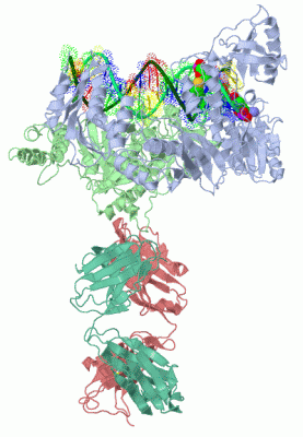 Image Asym./Biol. Unit - manually