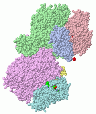 Image Asym./Biol. Unit - manually