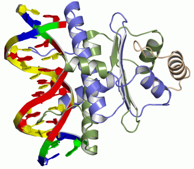 Image Biol.Unit 1 - manually