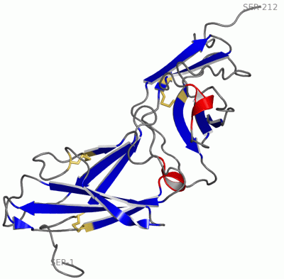 Image NMR Structure - manually