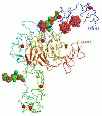 Image Asym./Biol. Unit - manually