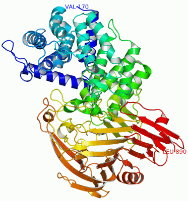 Image Asym./Biol. Unit - manually