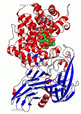 Image Asym./Biol. Unit - manually