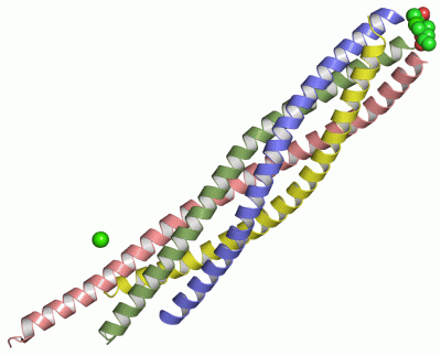 Image Asym./Biol. Unit - manually