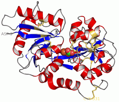 Image Asym./Biol. Unit - manually