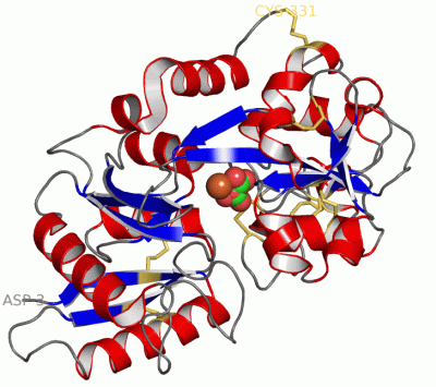 Image Asym./Biol. Unit - manually