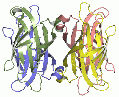 Image Asym./Biol. Unit - manually