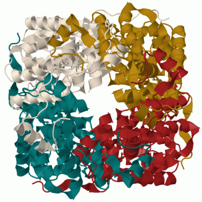 Image Biol.Unit 1 - manually
