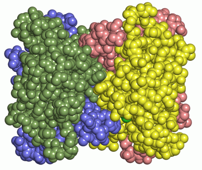 Image Asym./Biol. Unit - manually