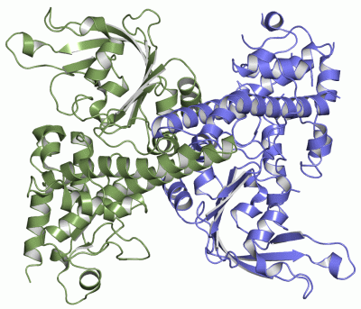 Image Asym./Biol. Unit - manually