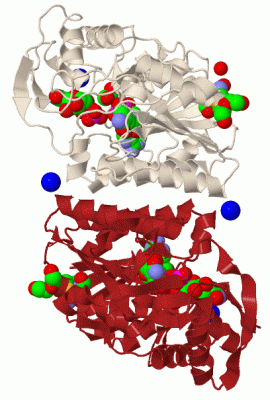 Image Biol.Unit 1 - manually