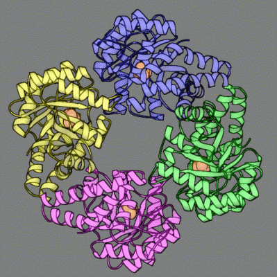 Image Asym./Biol. Unit - manually