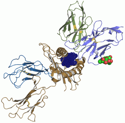 Image Asym./Biol. Unit - manually