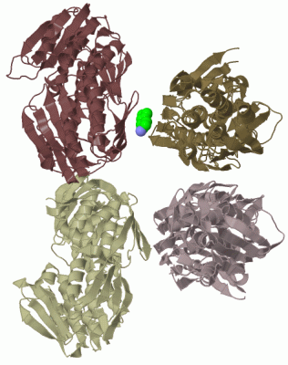 Image Biol.Unit 1 - manually