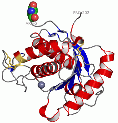 Image Asym./Biol. Unit - manually