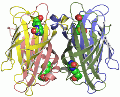 Image Asym./Biol. Unit - manually